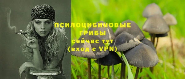 амф Алзамай